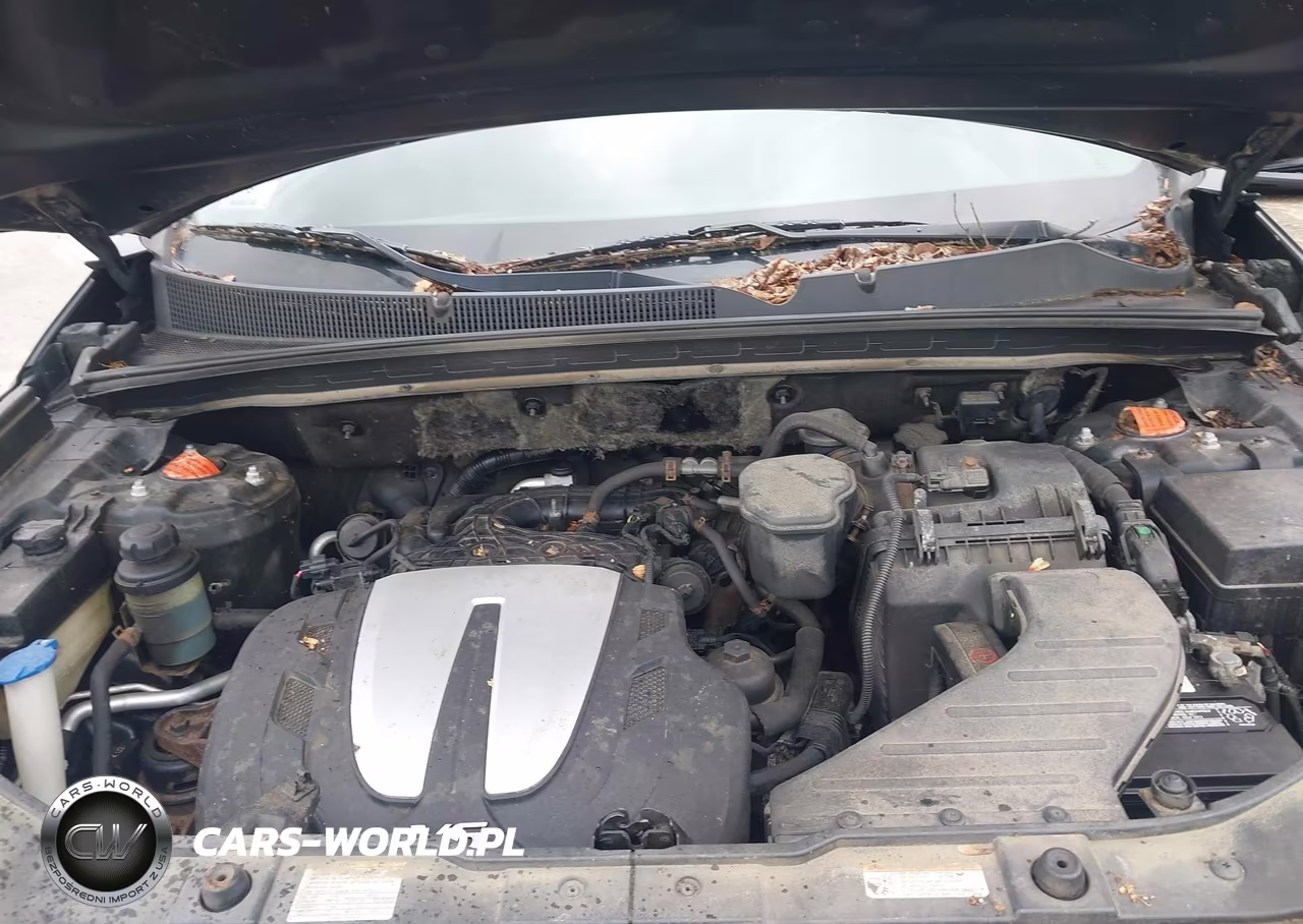 2011 Kia Sorento Ex V6 VIN:5XYKUDA22BG086817 - 10