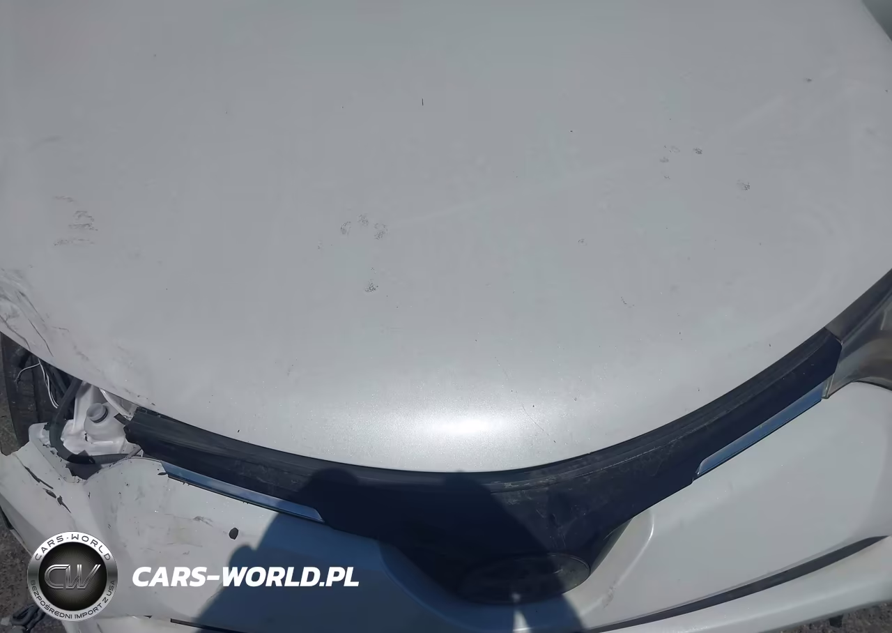 2016 Toyota Rav4 Limited VIN:JTMYFREV3GJ099511 - 10
