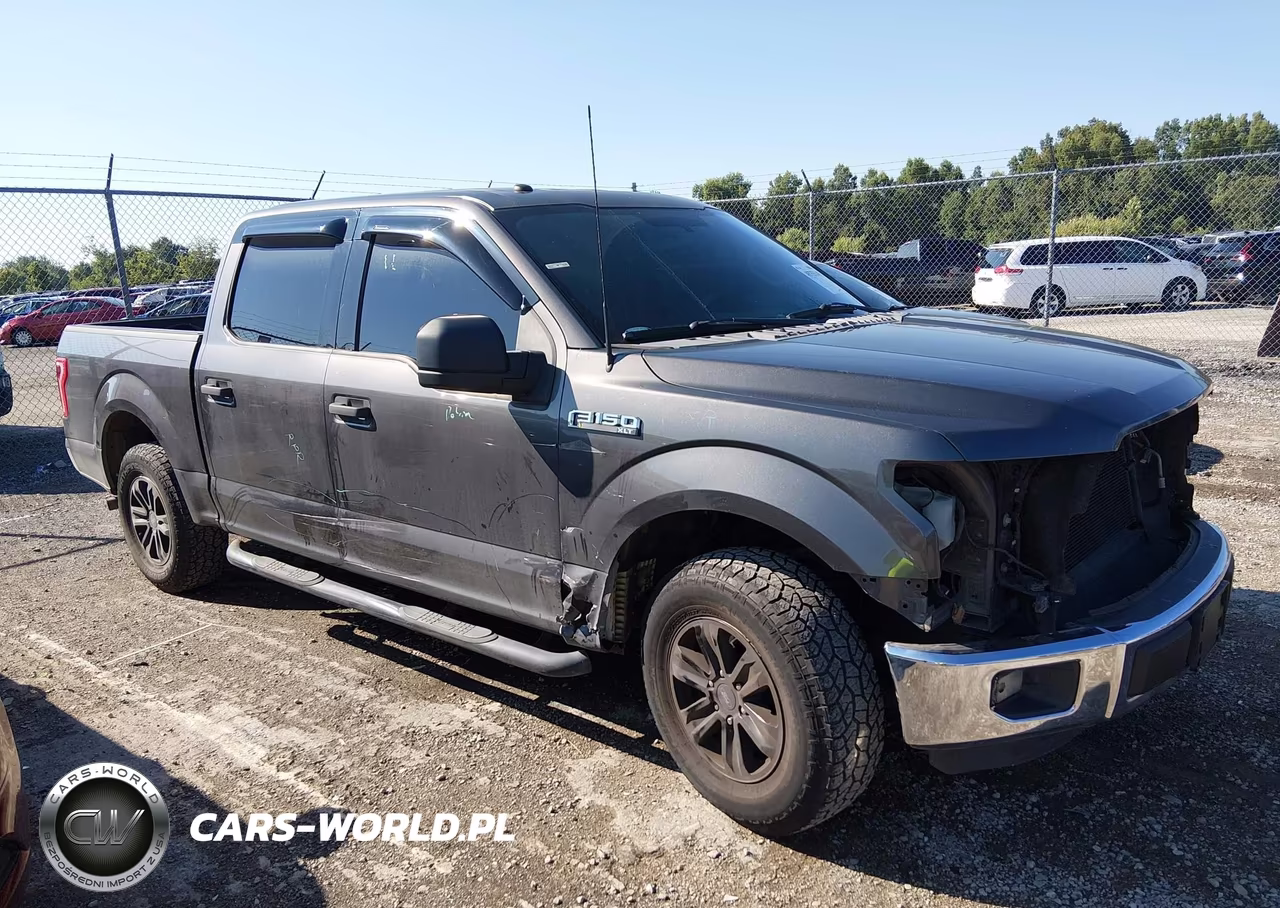 2016 Ford F-150 Xlt VIN:1FTEW1C82GKD80209 - 13