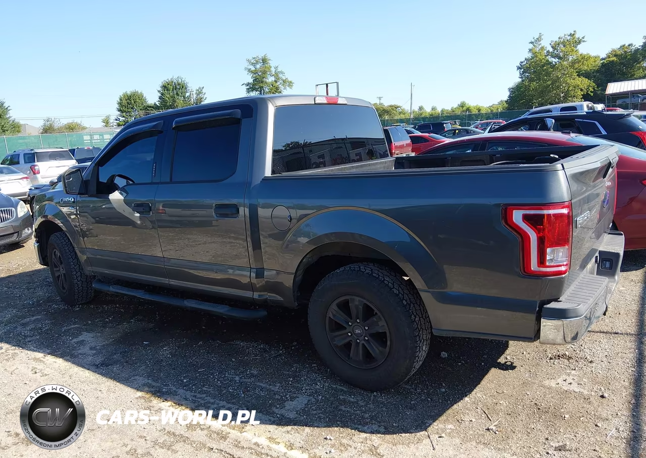 2016 Ford F-150 Xlt VIN:1FTEW1C82GKD80209 - 14