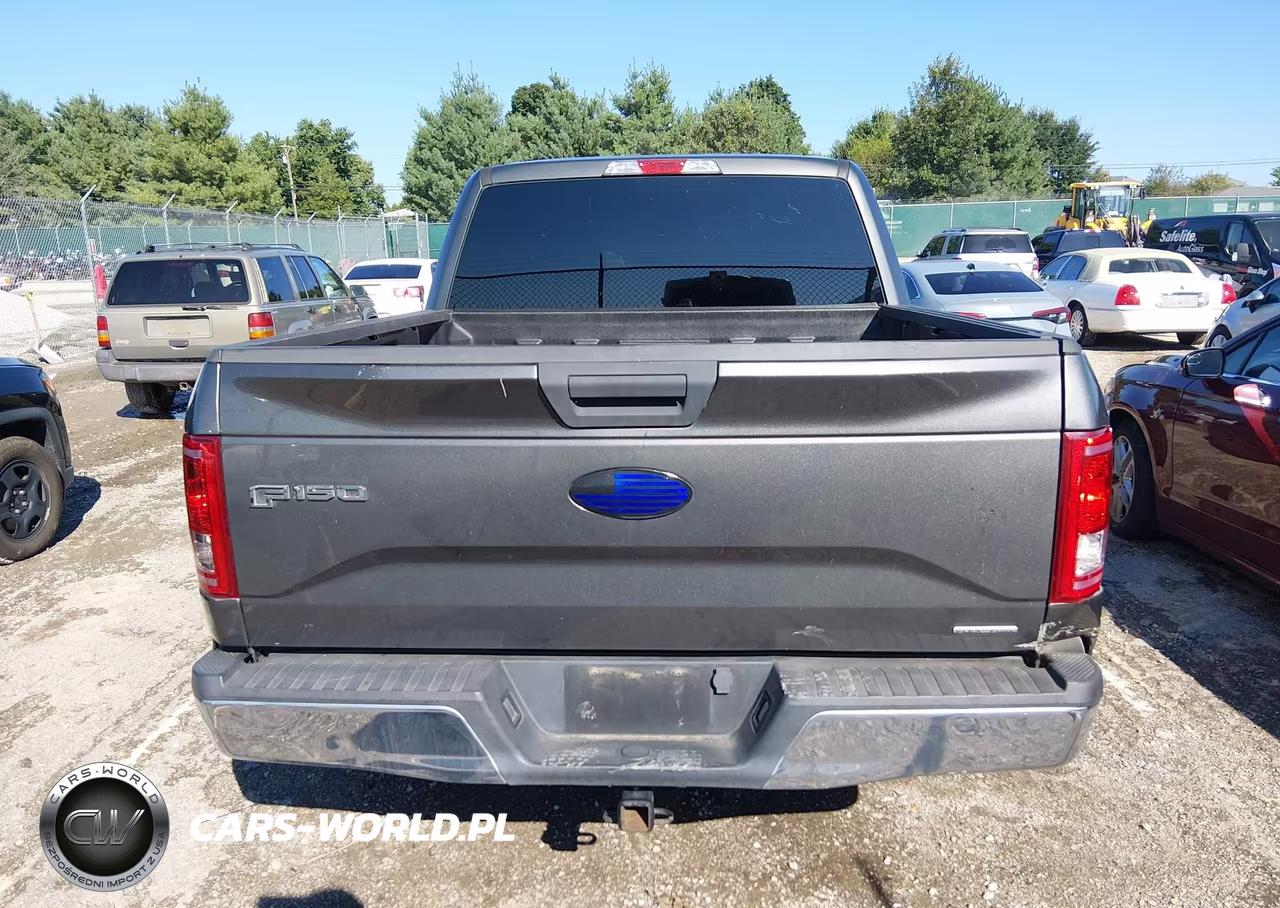 2016 Ford F-150 Xlt VIN:1FTEW1C82GKD80209 - 16