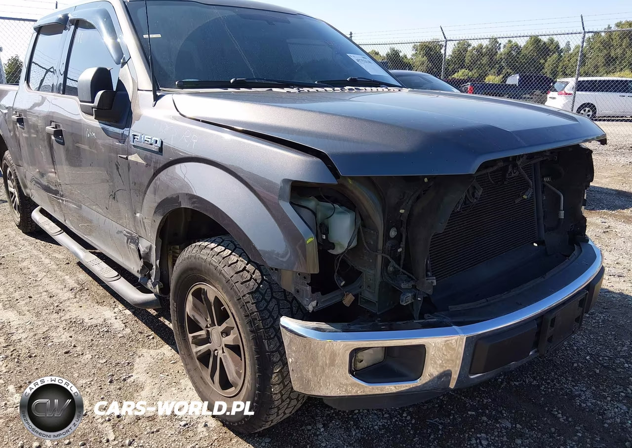2016 Ford F-150 Xlt VIN:1FTEW1C82GKD80209 - 6