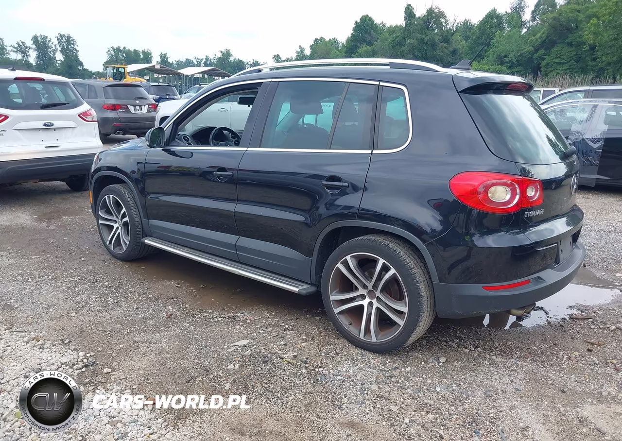 2011 Volkswagen Tiguan Se VIN:WVGAV7AX2BW528516 - 3