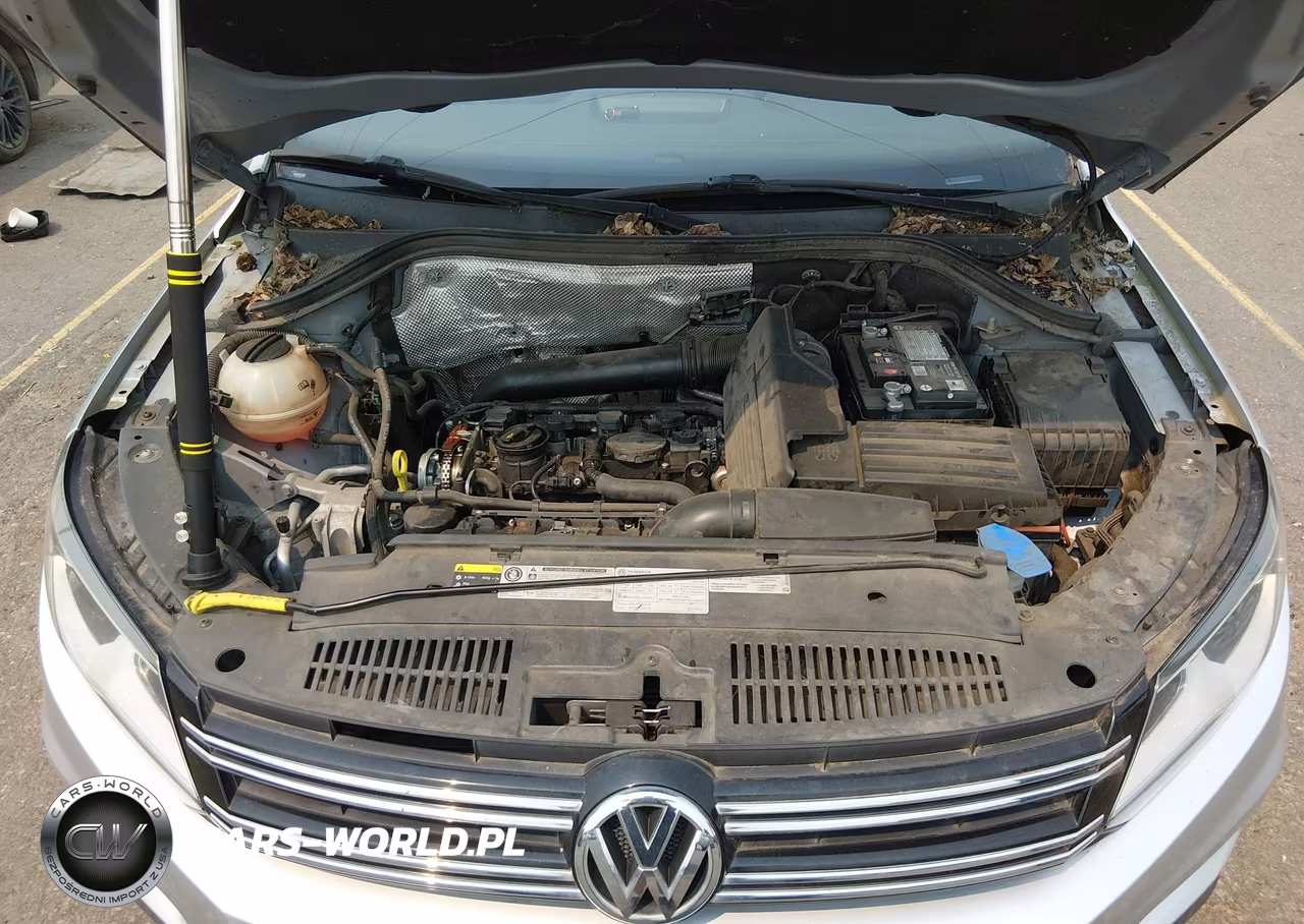 2016 Volkswagen Tiguan S VIN:WVGAV7AX5GW586448 - 10