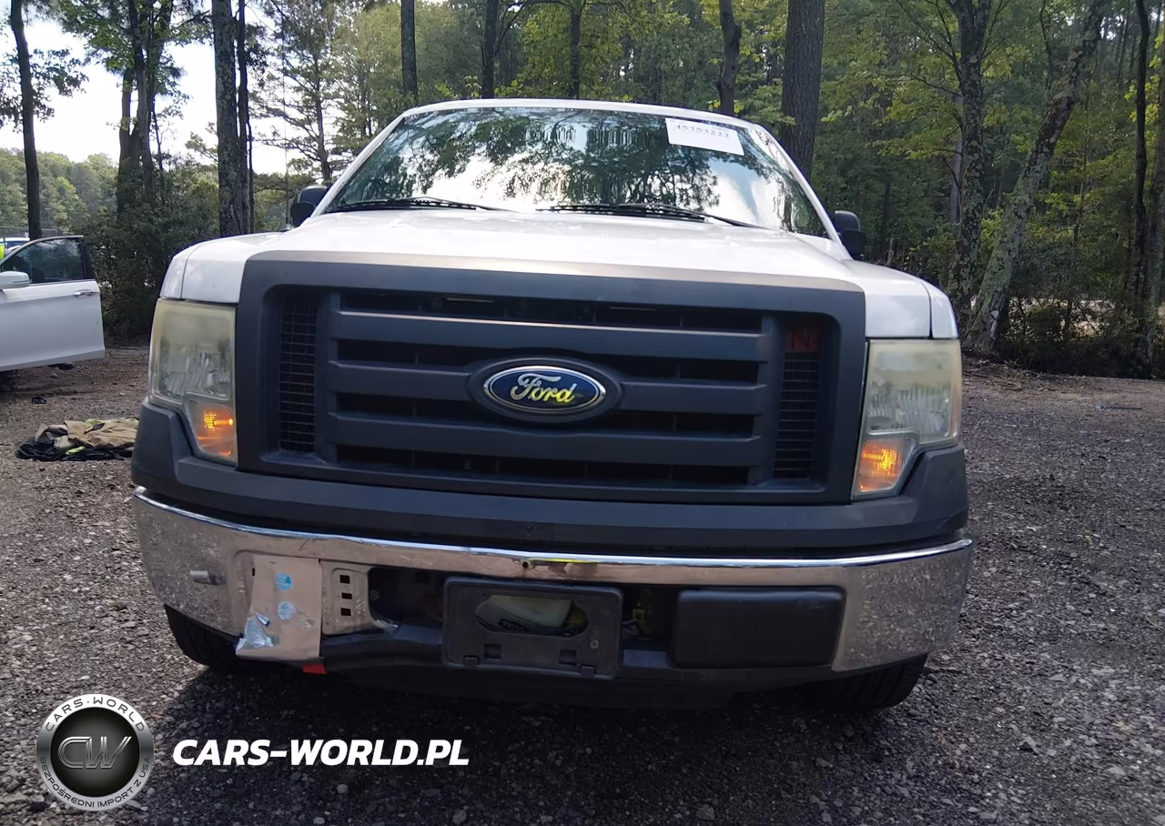2010 Ford F-150 Stx-Xl VIN:1FTEX1CW9AFA60848 - 12