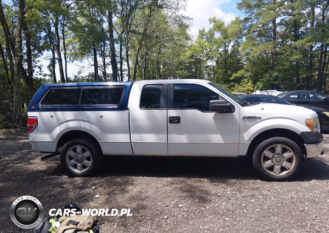 2010 Ford F-150 Stx-Xl VIN:1FTEX1CW9AFA60848 - 13