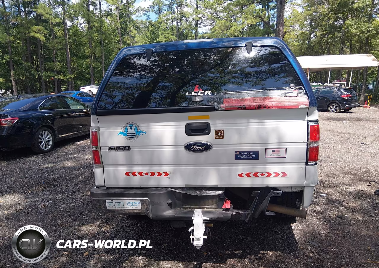 2010 Ford F-150 Stx-Xl VIN:1FTEX1CW9AFA60848 - 16