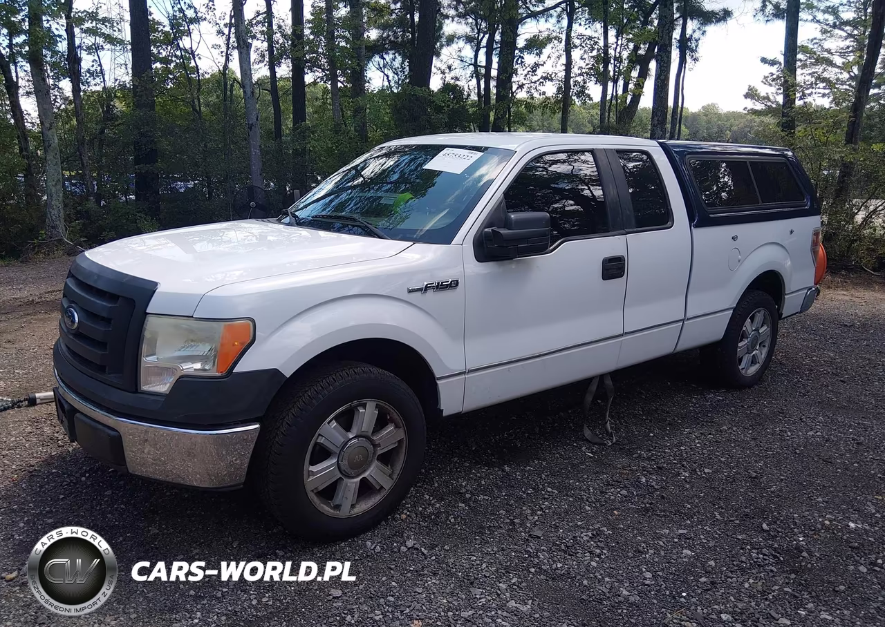 2010 Ford F-150 Stx-Xl VIN:1FTEX1CW9AFA60848 - 2