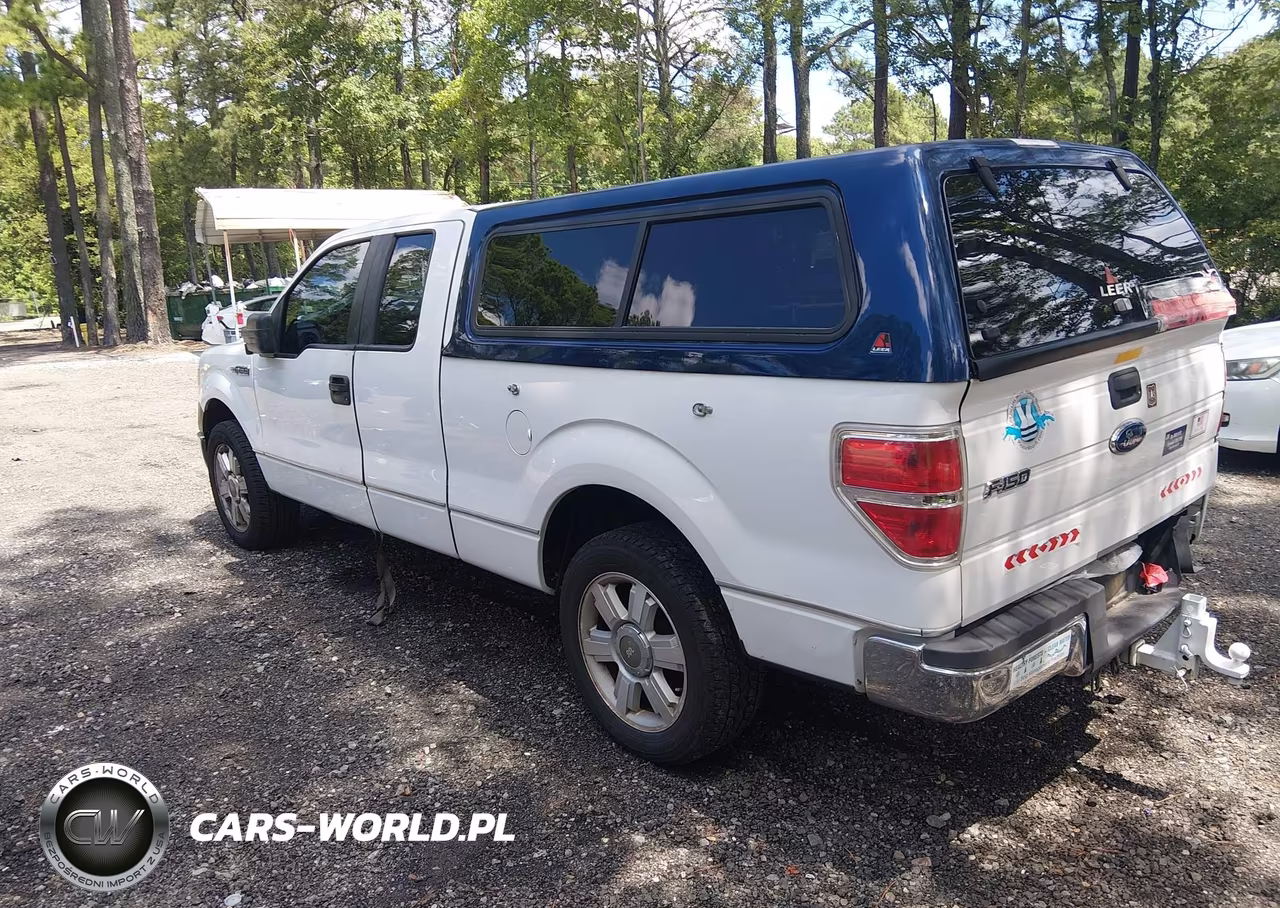 2010 Ford F-150 Stx-Xl VIN:1FTEX1CW9AFA60848 - 3