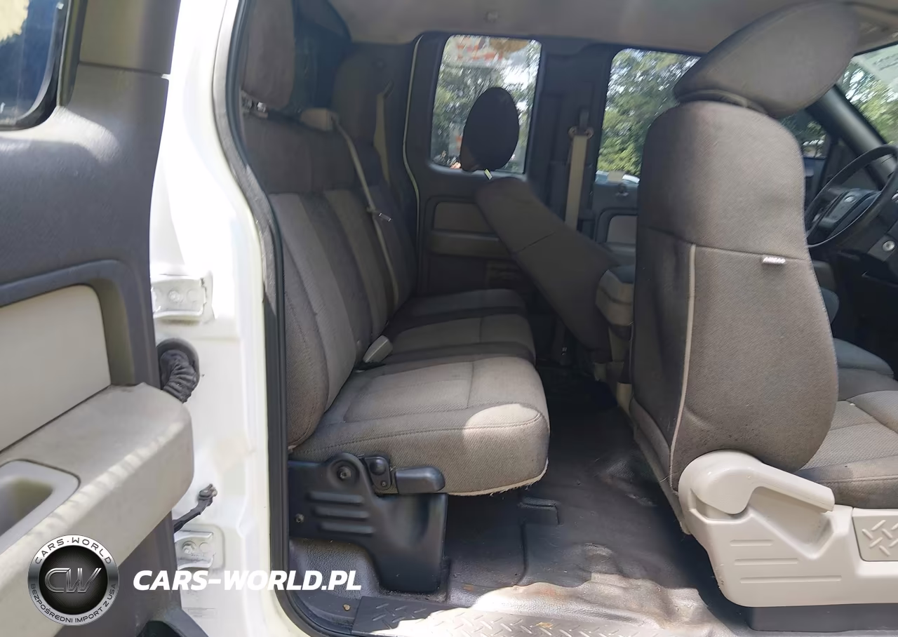 2010 Ford F-150 Stx-Xl VIN:1FTEX1CW9AFA60848 - 8