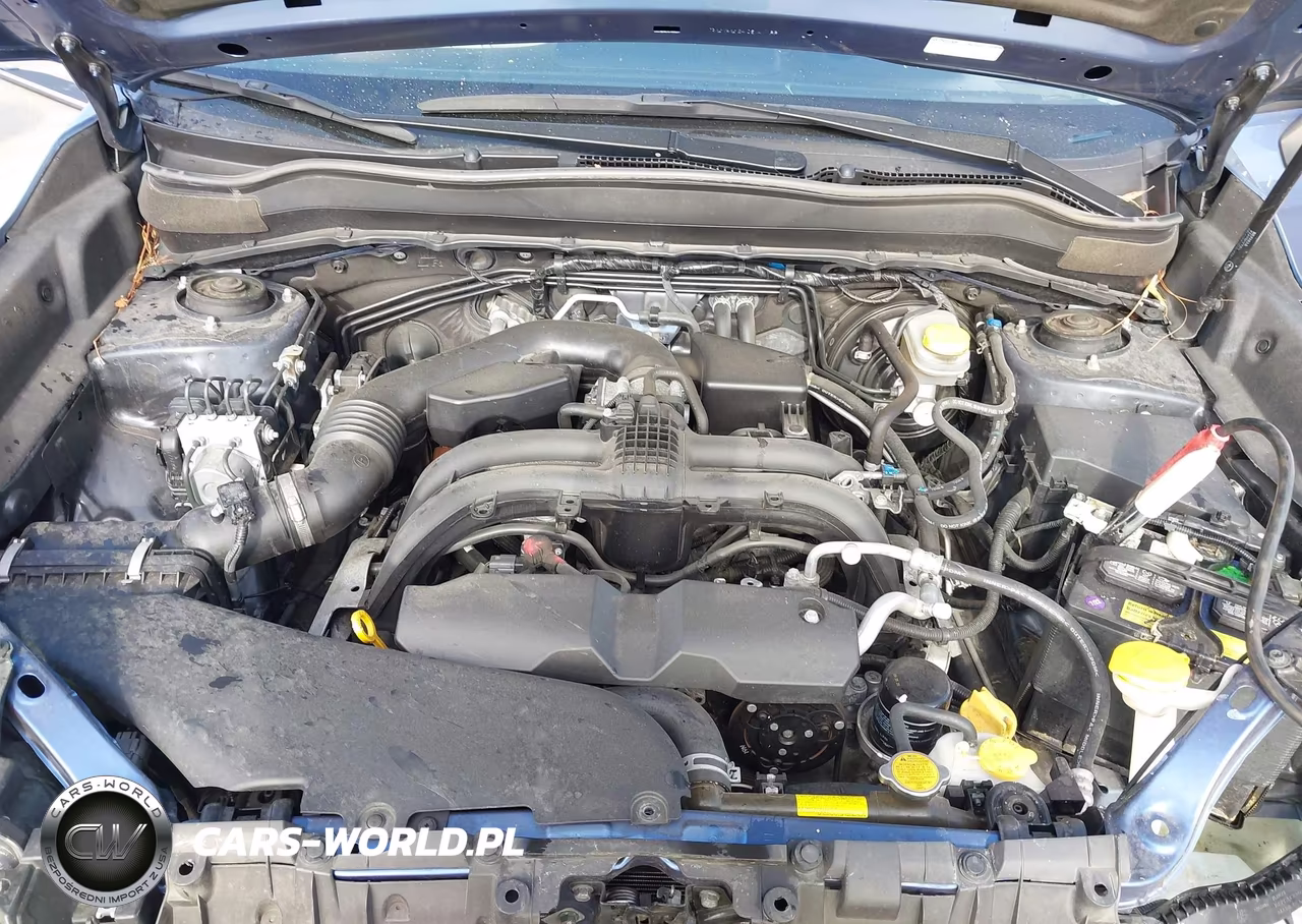 2017 Subaru Forester 2.5I VIN:JF2SJABC4HH574599 - 10