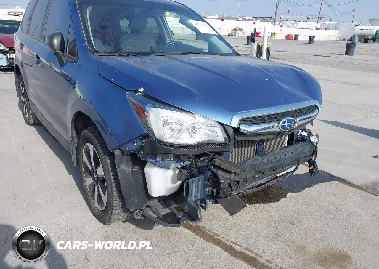 2017 Subaru Forester 2.5I VIN:JF2SJABC4HH574599 - 13
