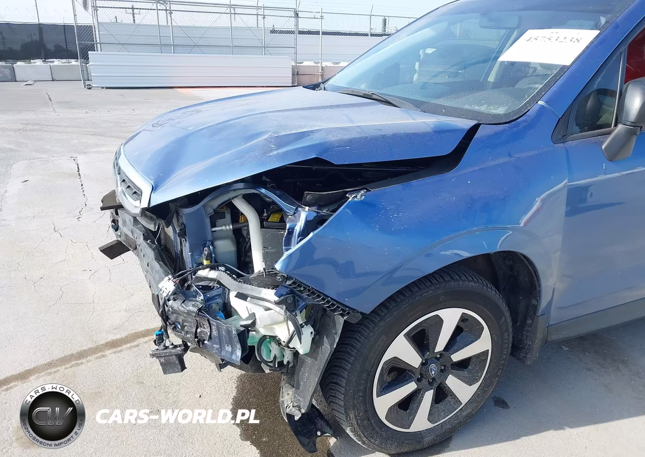 2017 Subaru Forester 2.5I VIN:JF2SJABC4HH574599 - 16