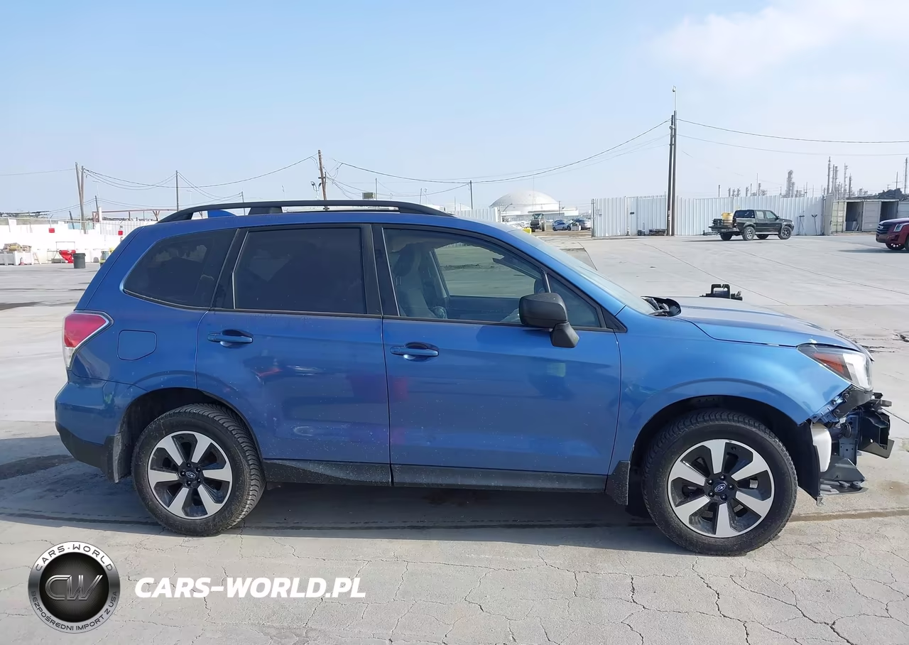 2017 Subaru Forester 2.5I VIN:JF2SJABC4HH574599 - 19