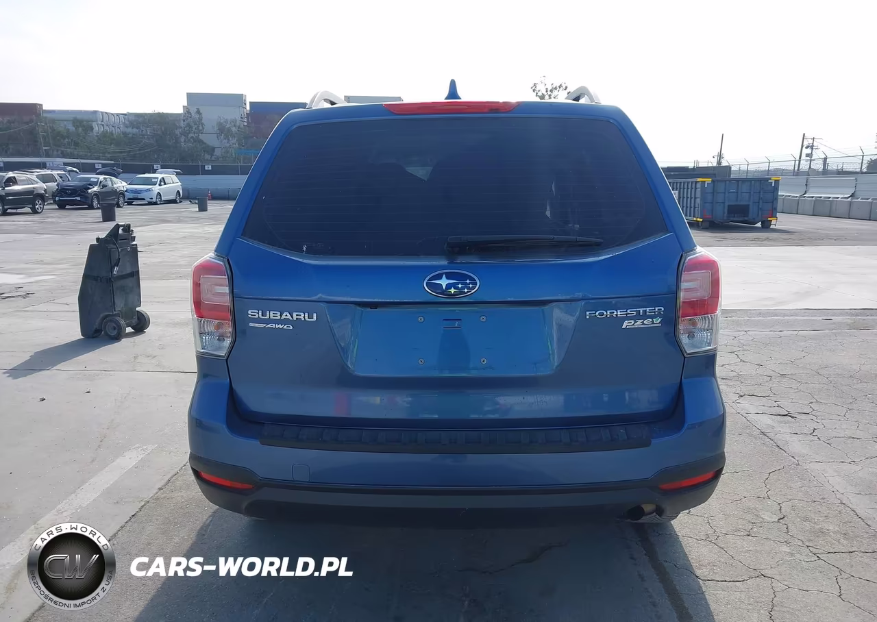 2017 Subaru Forester 2.5I VIN:JF2SJABC4HH574599 - 22
