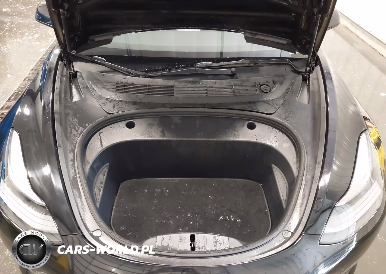 2022 Tesla Model 3 Performance Dual Motor All-Wheel Drive VIN:5YJ3E1EC3NF331803 - 10