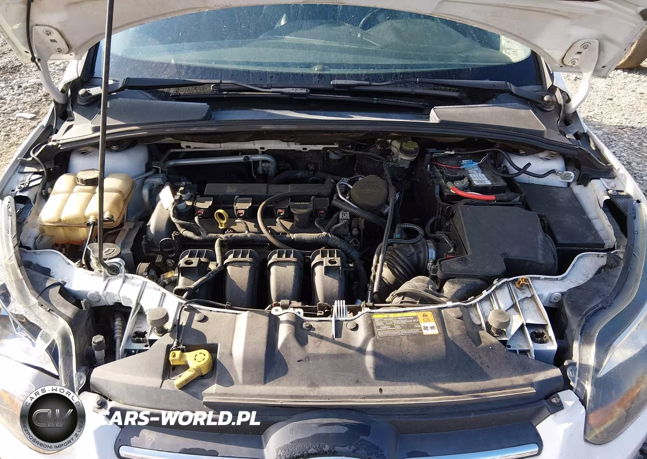 2013 Ford Focus Titanium VIN:1FADP3N29DL259430 - 10
