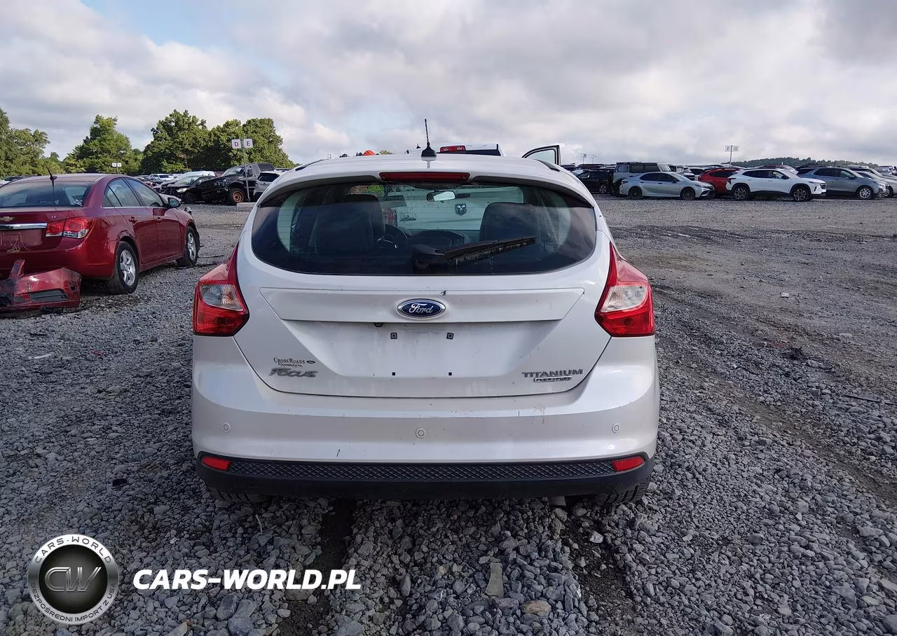 2013 Ford Focus Titanium VIN:1FADP3N29DL259430 - 16