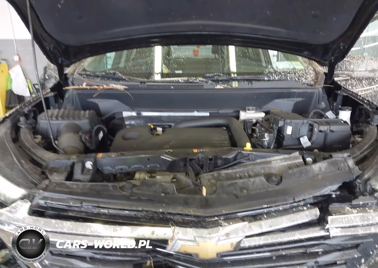 2024 Chevrolet Equinox Awd Lt VIN:3GNAXUEG7RL175639 - 10