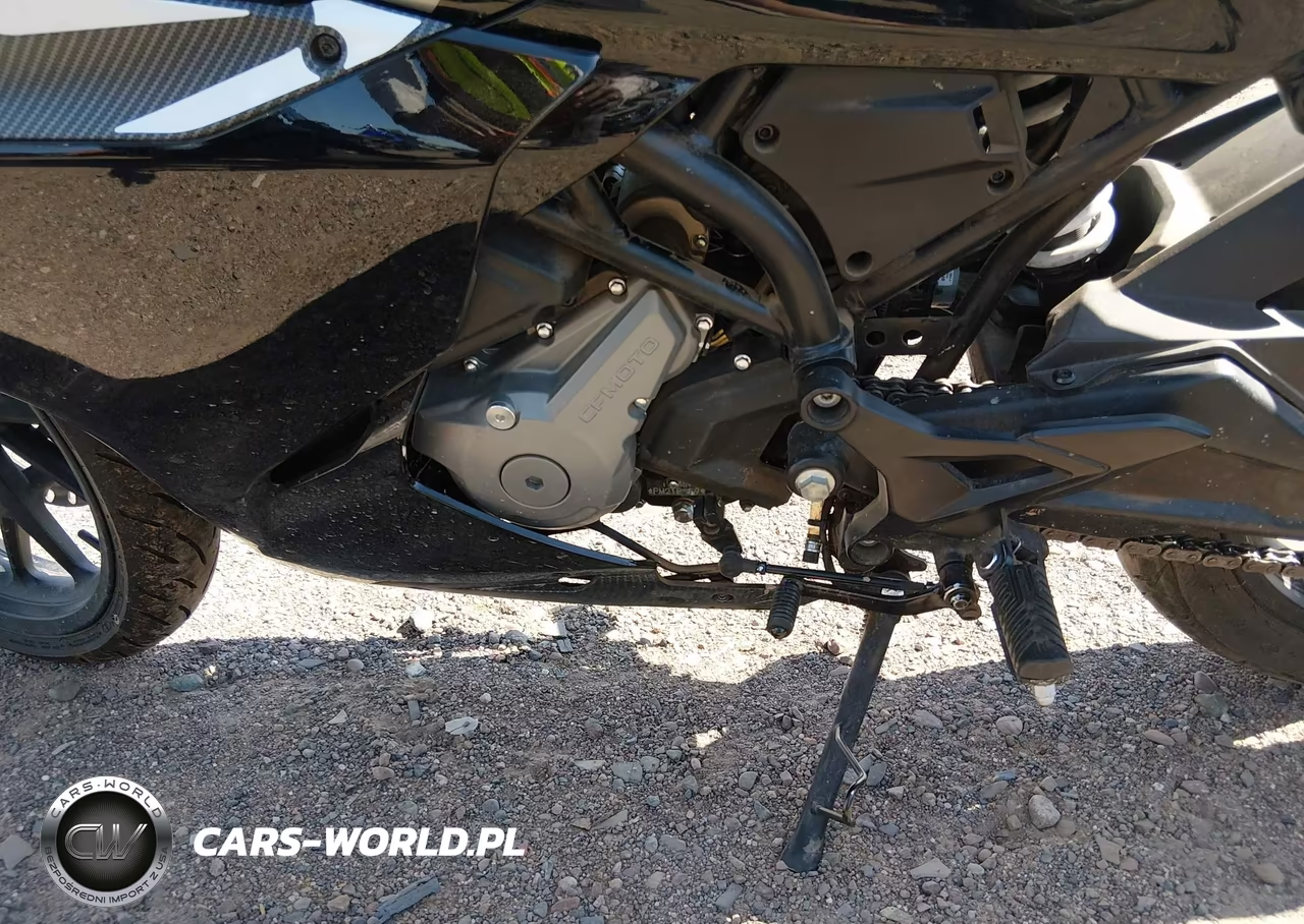 2023 Cf Moto 300Ss VIN:LCEPDPL34P6001273 - 9