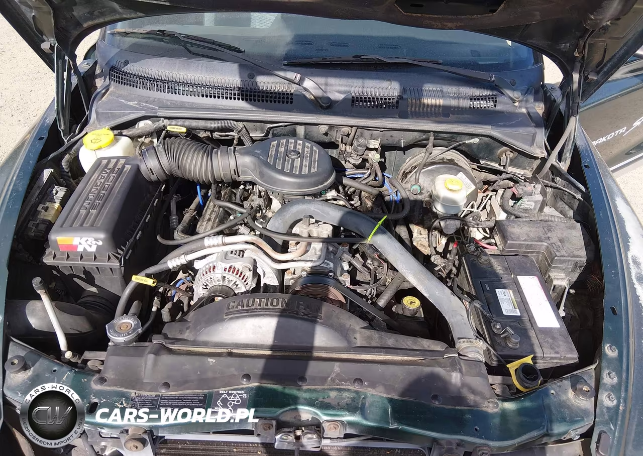 1999 Dodge Dakota Slt-Sport VIN:1B7GG22Y3XS204346 - 10