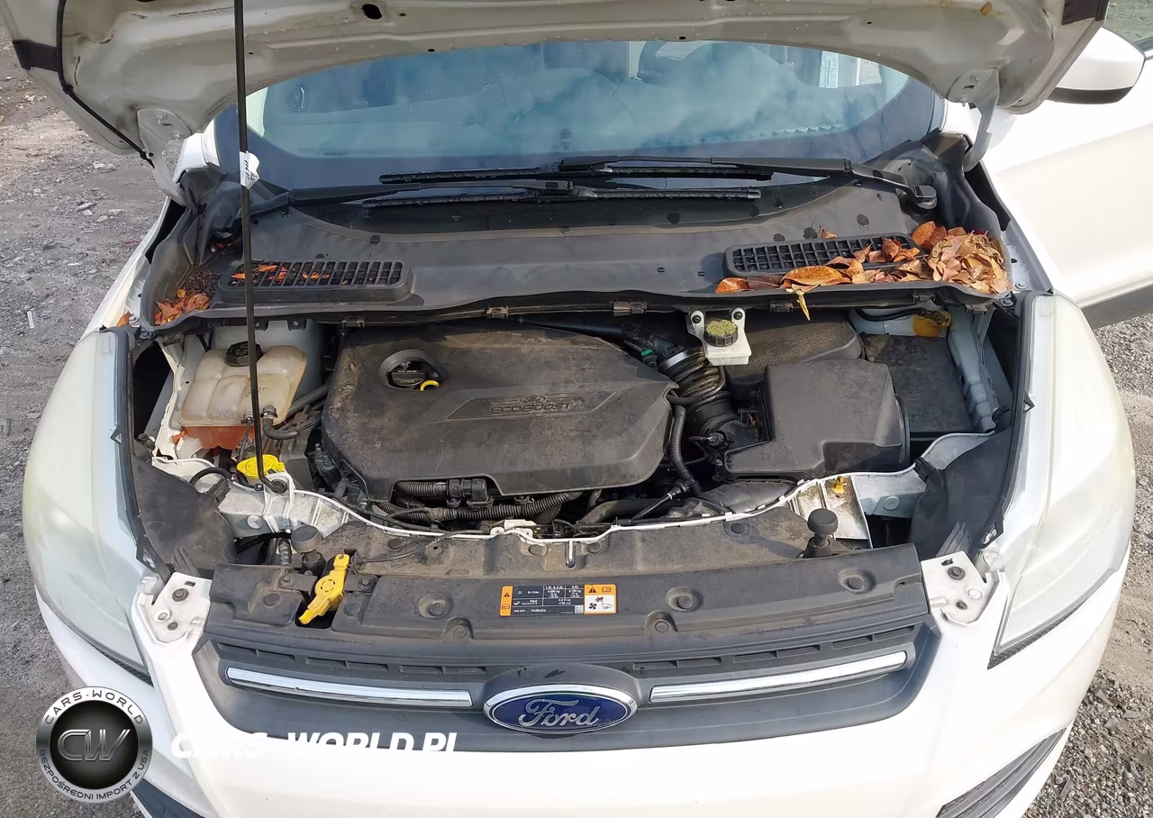2014 Ford Escape Se VIN:1FMCU0GX9EUE20372 - 10