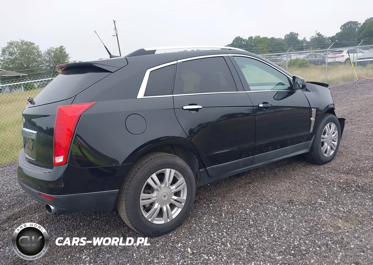 2010 Cadillac Srx Luxury Collection VIN:3GYFNAEY6AS514133 - 4