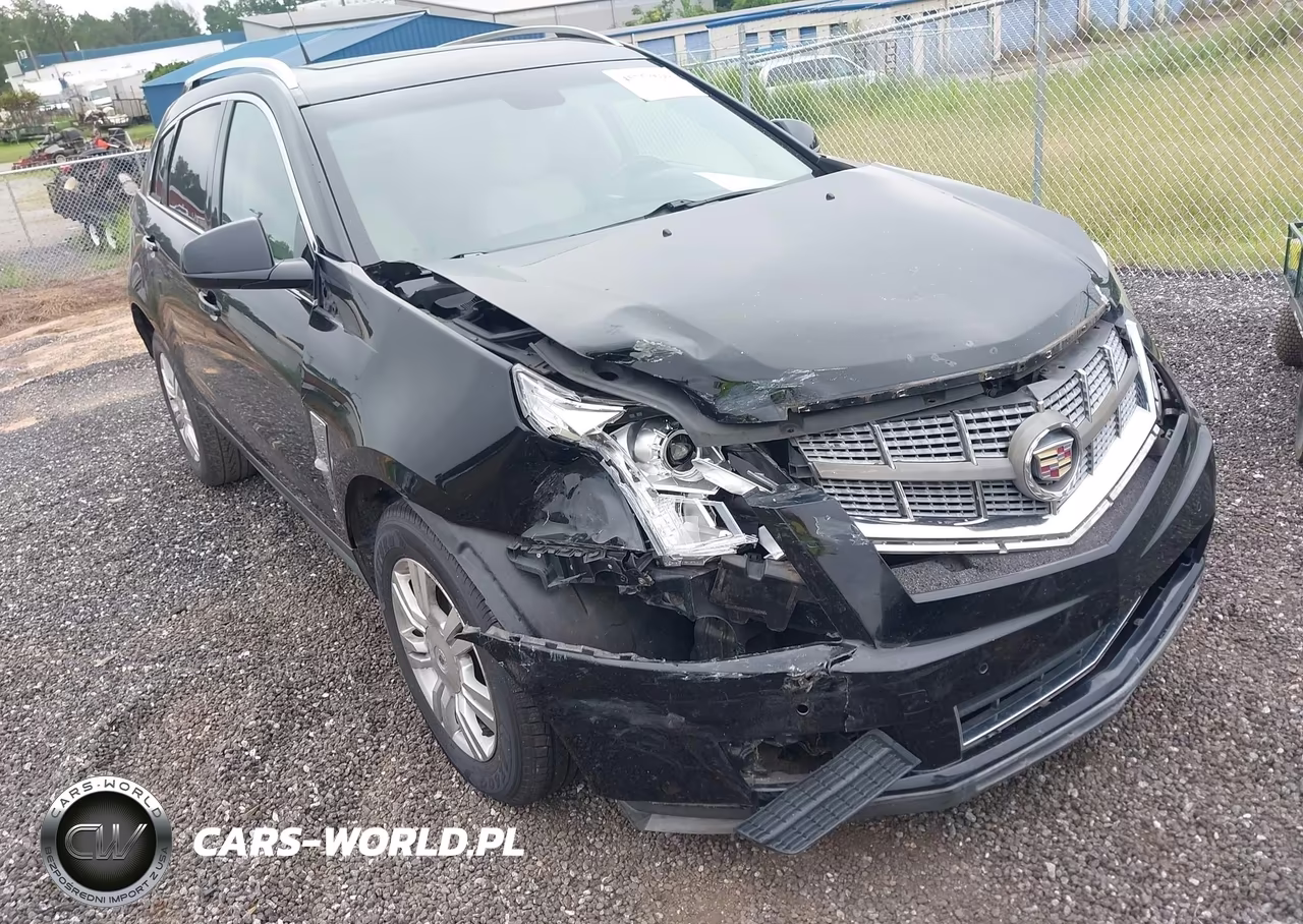 2010 Cadillac Srx Luxury Collection VIN:3GYFNAEY6AS514133 - 6
