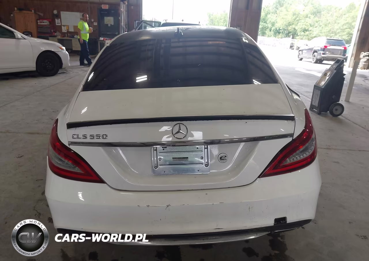 2015 Mercedes-Benz Cls 550 VIN:WDDLJ7DB8FA151367 - 16