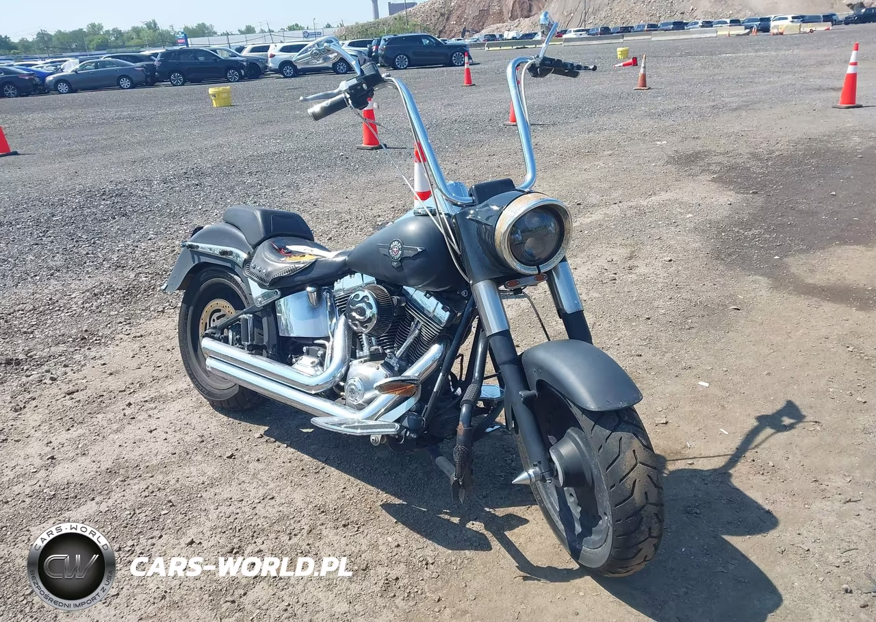 2007 Harley-Davidson Flstf