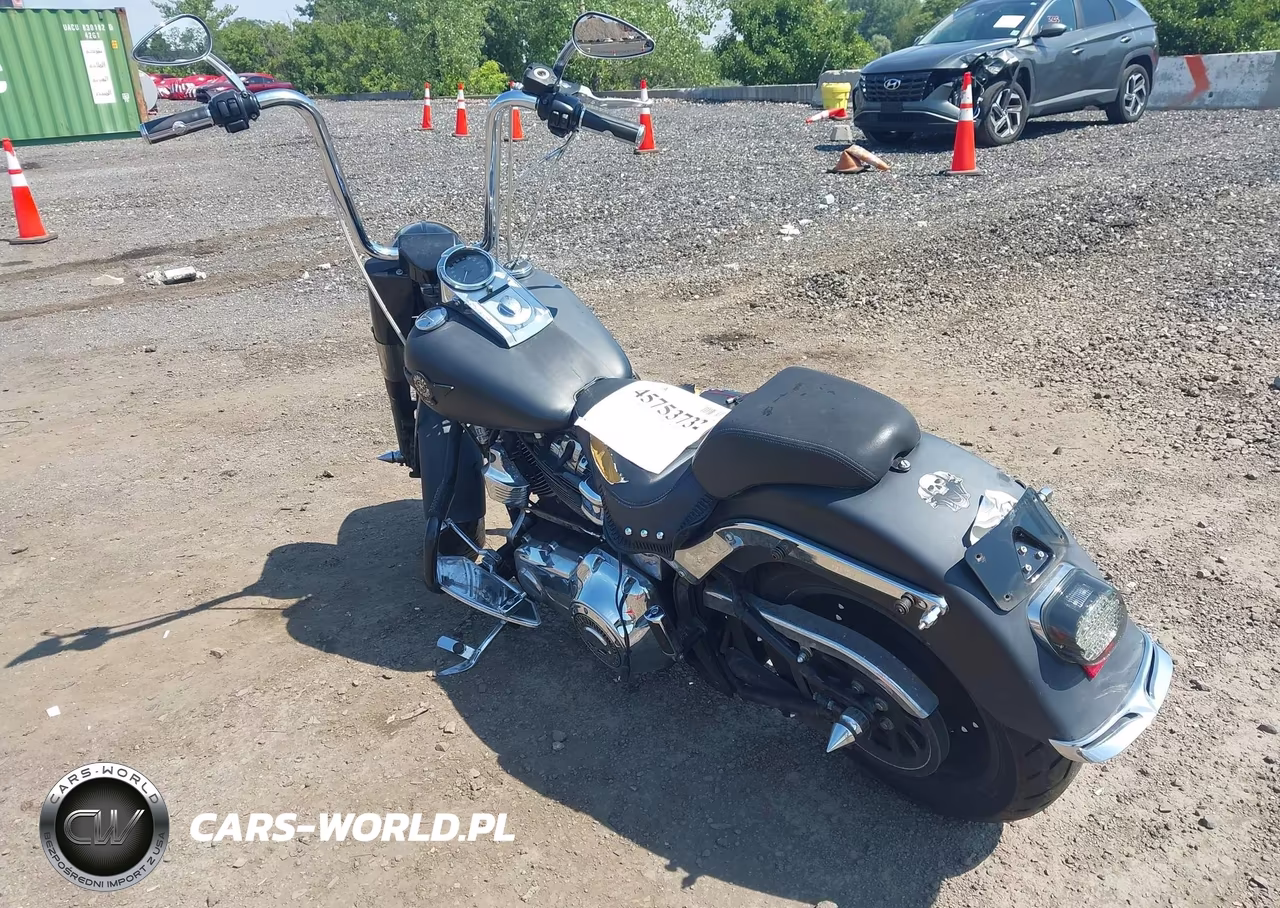 2007 Harley-Davidson Flstf VIN:1HD1BX5157Y033479 - 3