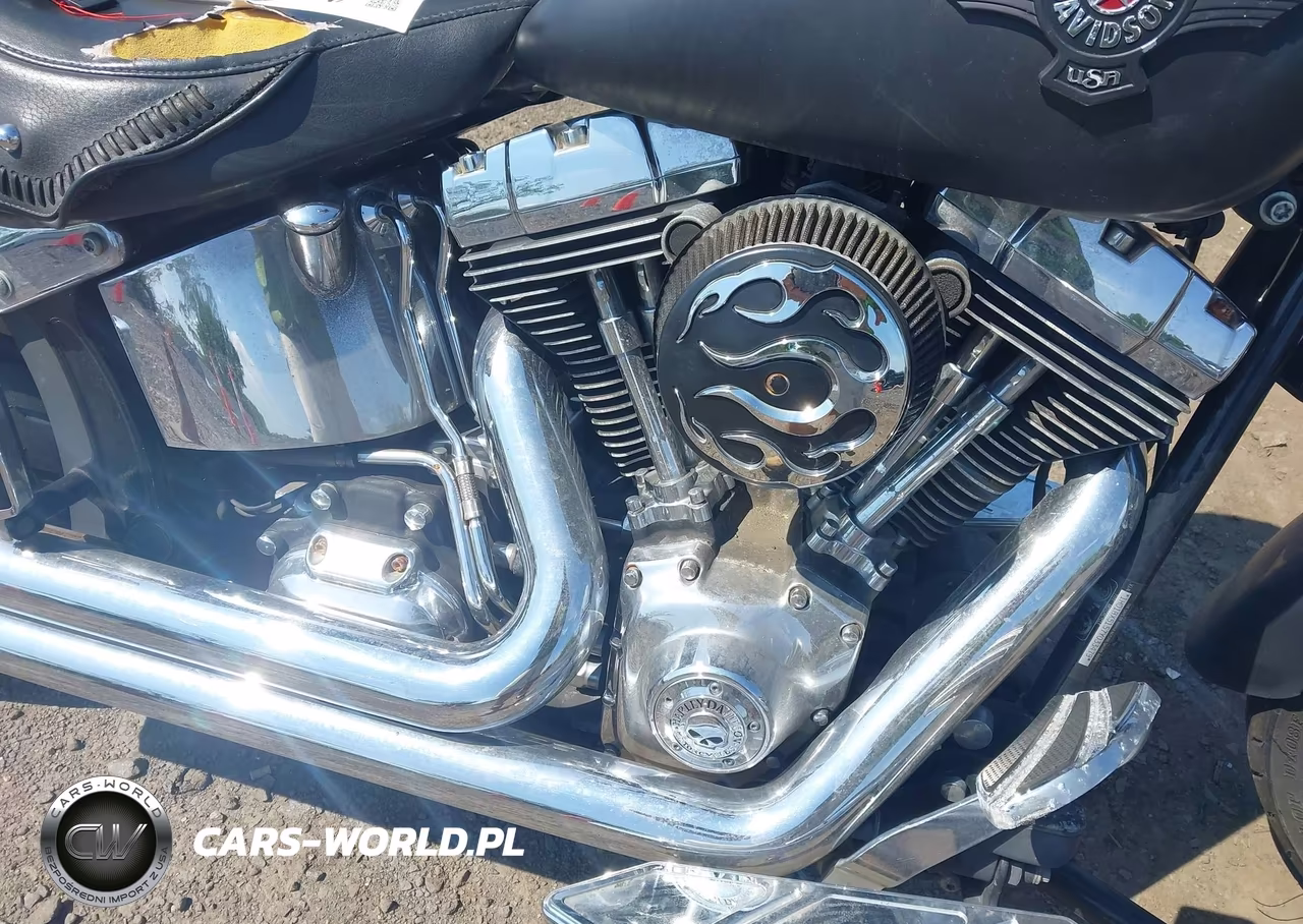 2007 Harley-Davidson Flstf VIN:1HD1BX5157Y033479 - 8