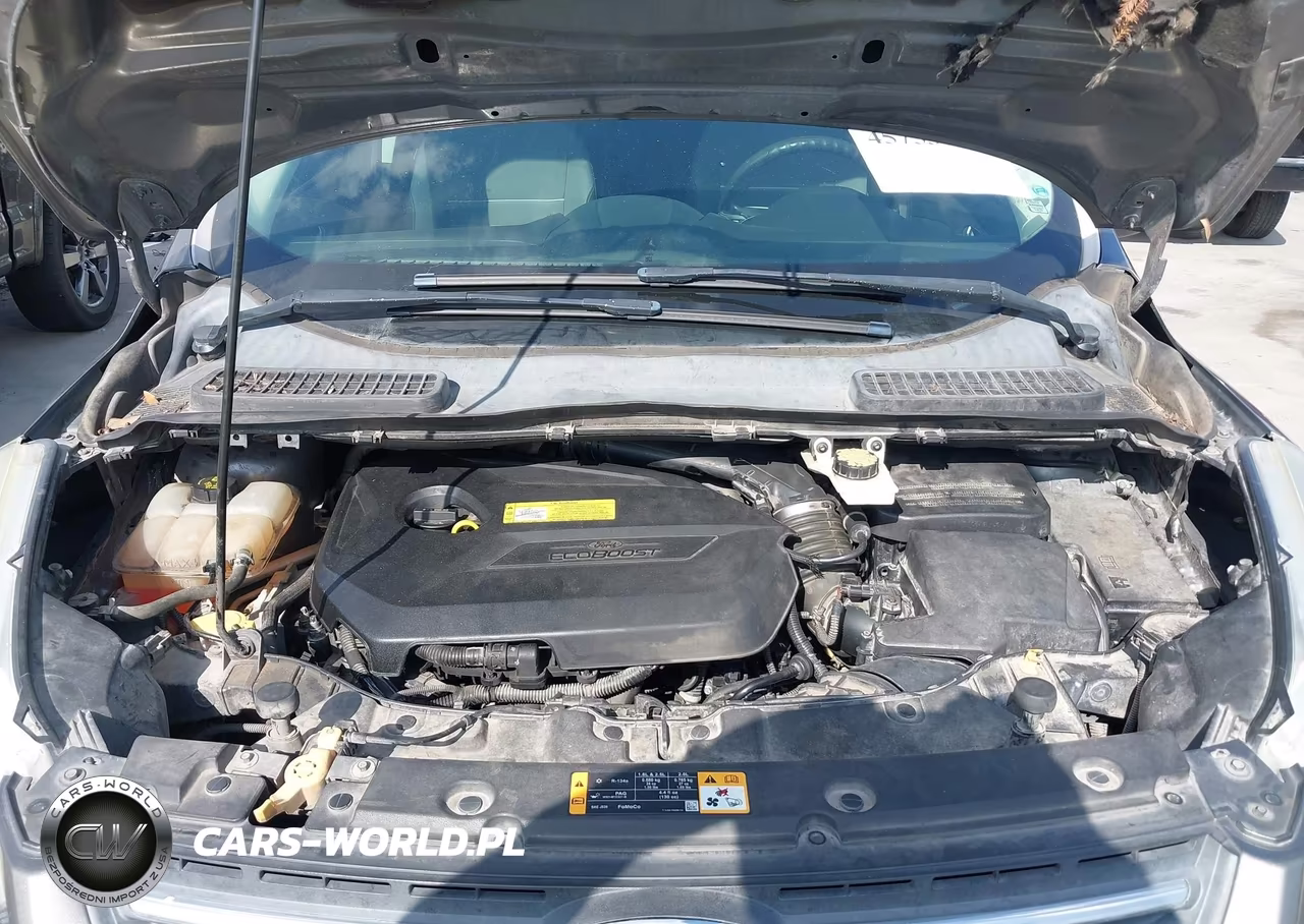 2013 Ford Escape Se VIN:1FMCU0GX5DUB70630 - 10