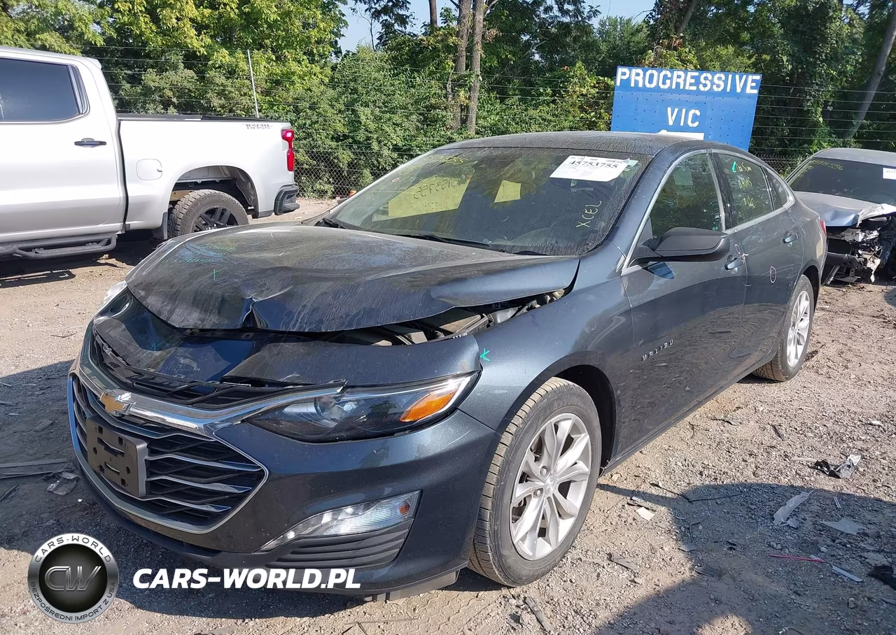 2019 Chevrolet Malibu Lt VIN:1G1ZD5ST6KF149599 - 2