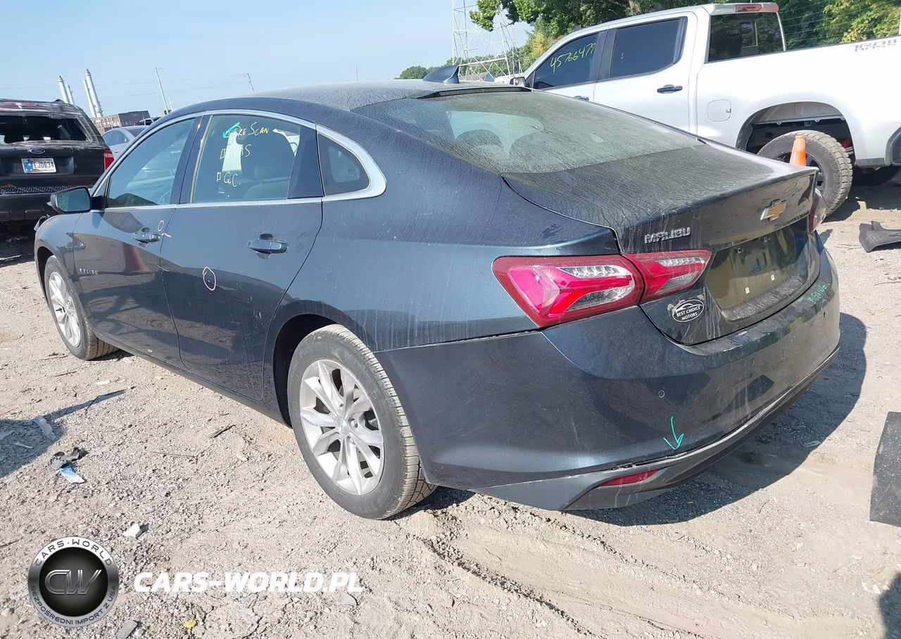 2019 Chevrolet Malibu Lt VIN:1G1ZD5ST6KF149599 - 3