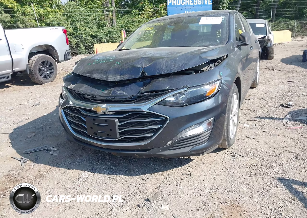2019 Chevrolet Malibu Lt VIN:1G1ZD5ST6KF149599 - 6