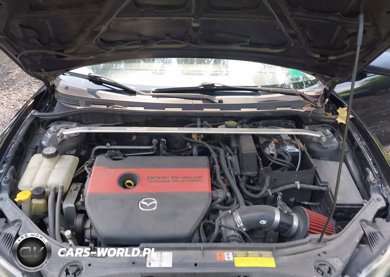 2009 Mazda Mazda3 I Sport VIN:JM1BK32F491238785 - 10