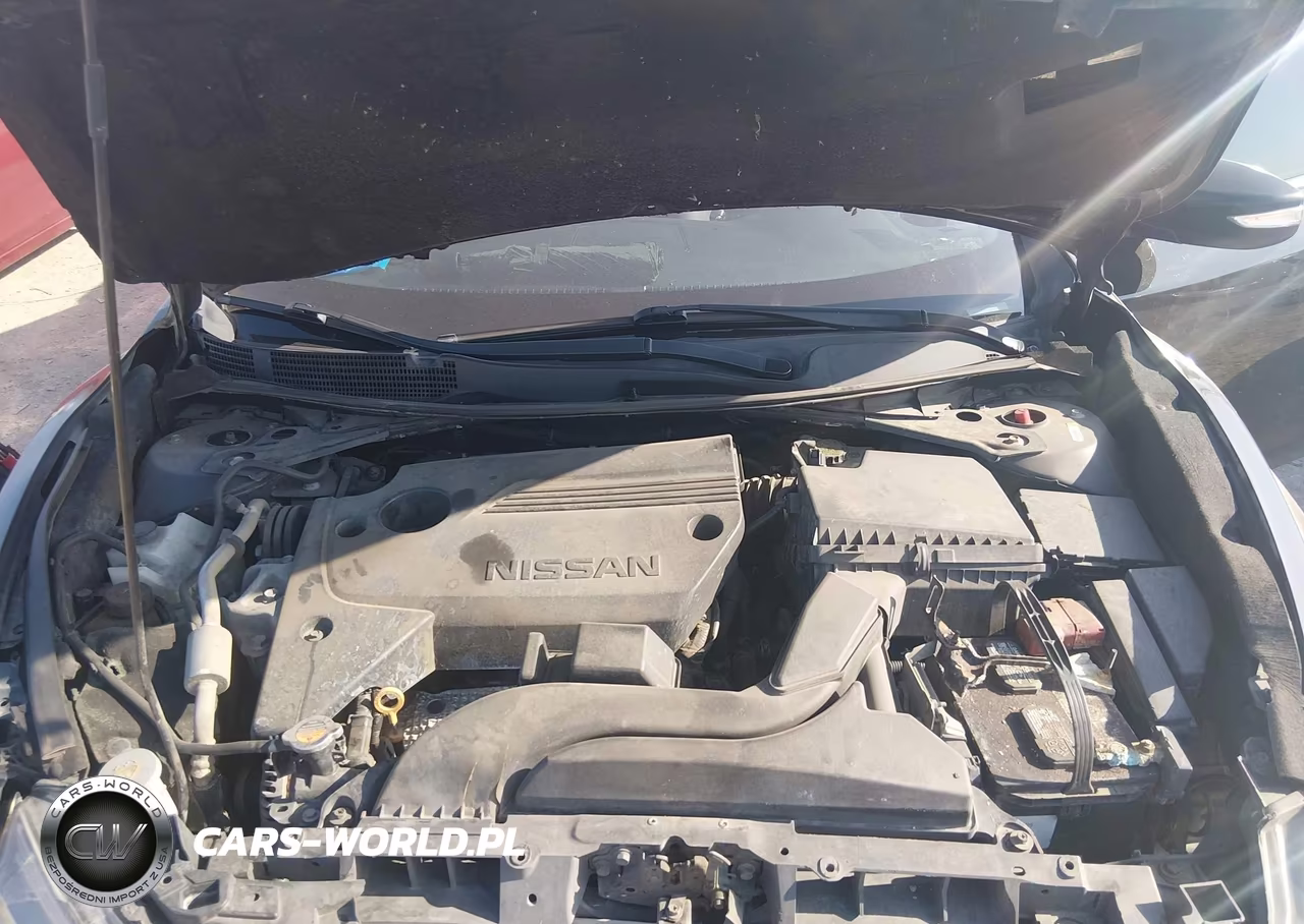 NISSAN ALTIMA VIN:1N4AL3AP1GN392112 - 10