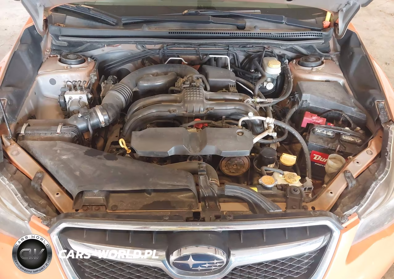 2013 Subaru Xv Crosstrek 2.0I Premium VIN:JF2GPACC9DG832523 - 10
