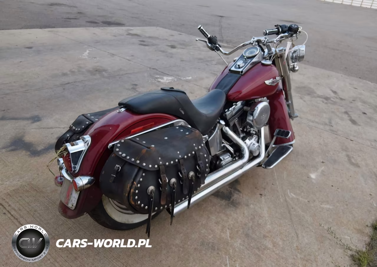2006 Harley-Davidson Flstni VIN:1HD1JDB196Y021081 - 4