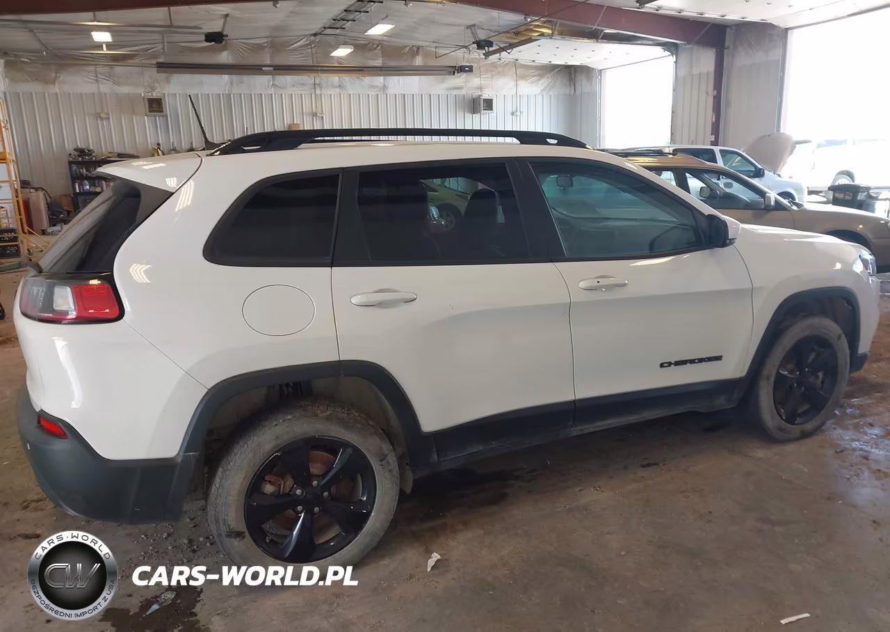 2020 Jeep Cherokee Altitude 4X4 VIN:1C4PJMLN4LD553984 - 4