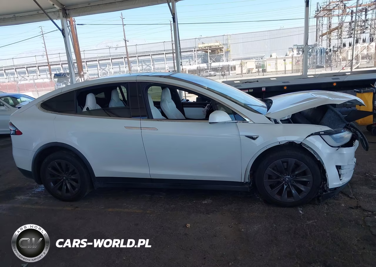 2018 Tesla Model X 100D-75D-P100D VIN:5YJXCBE20JF090796 - 13