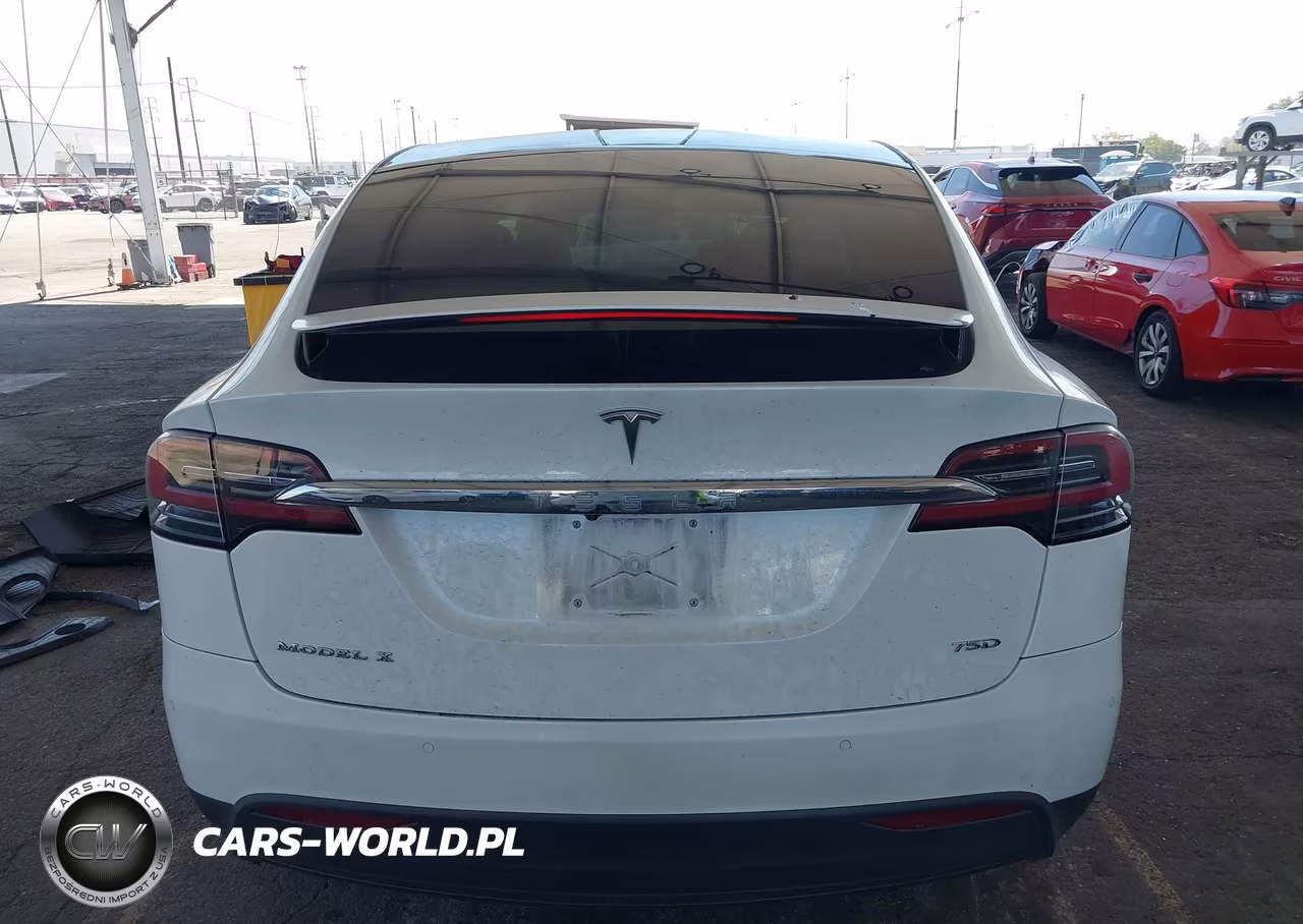 2018 Tesla Model X 100D-75D-P100D VIN:5YJXCBE20JF090796 - 16