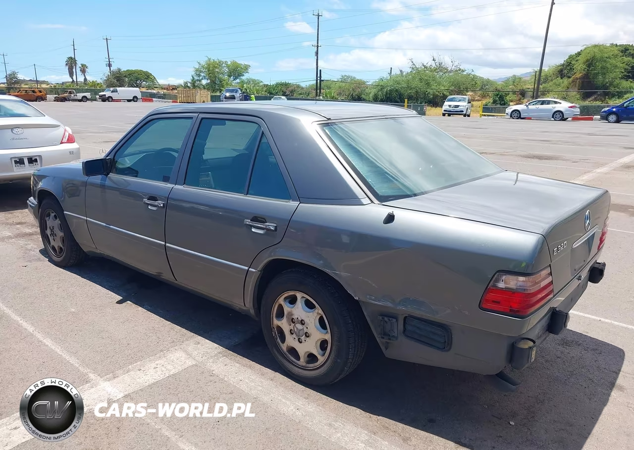 1995 Mercedes-Benz E 320 Base-320 Special VIN:WDBEA32E2SC262924 - 3