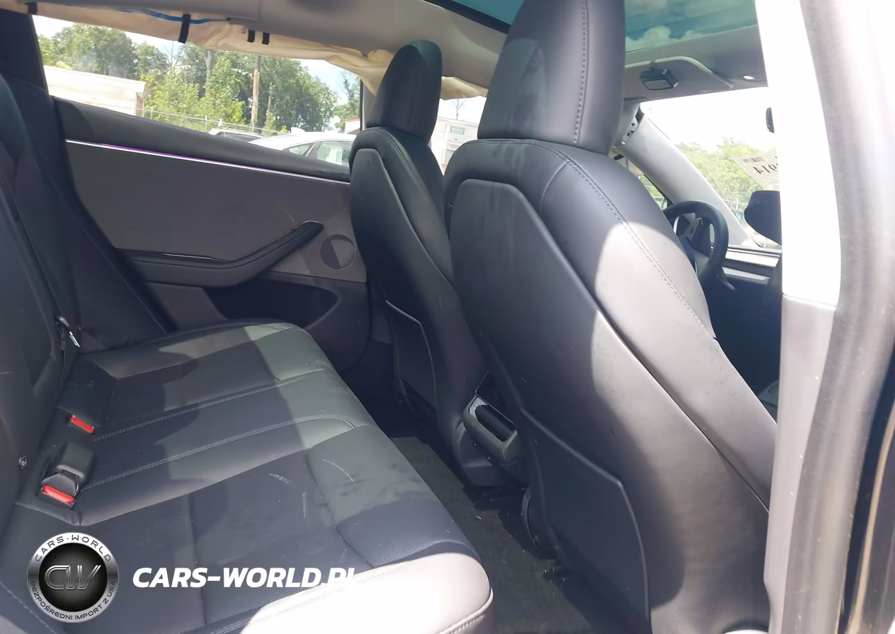 2025 Tesla Model 3 Long Range Rear-Wheel Drive-Standard Rear-Wheel Drive VIN:5YJ3E1EA4SF019970 - 8