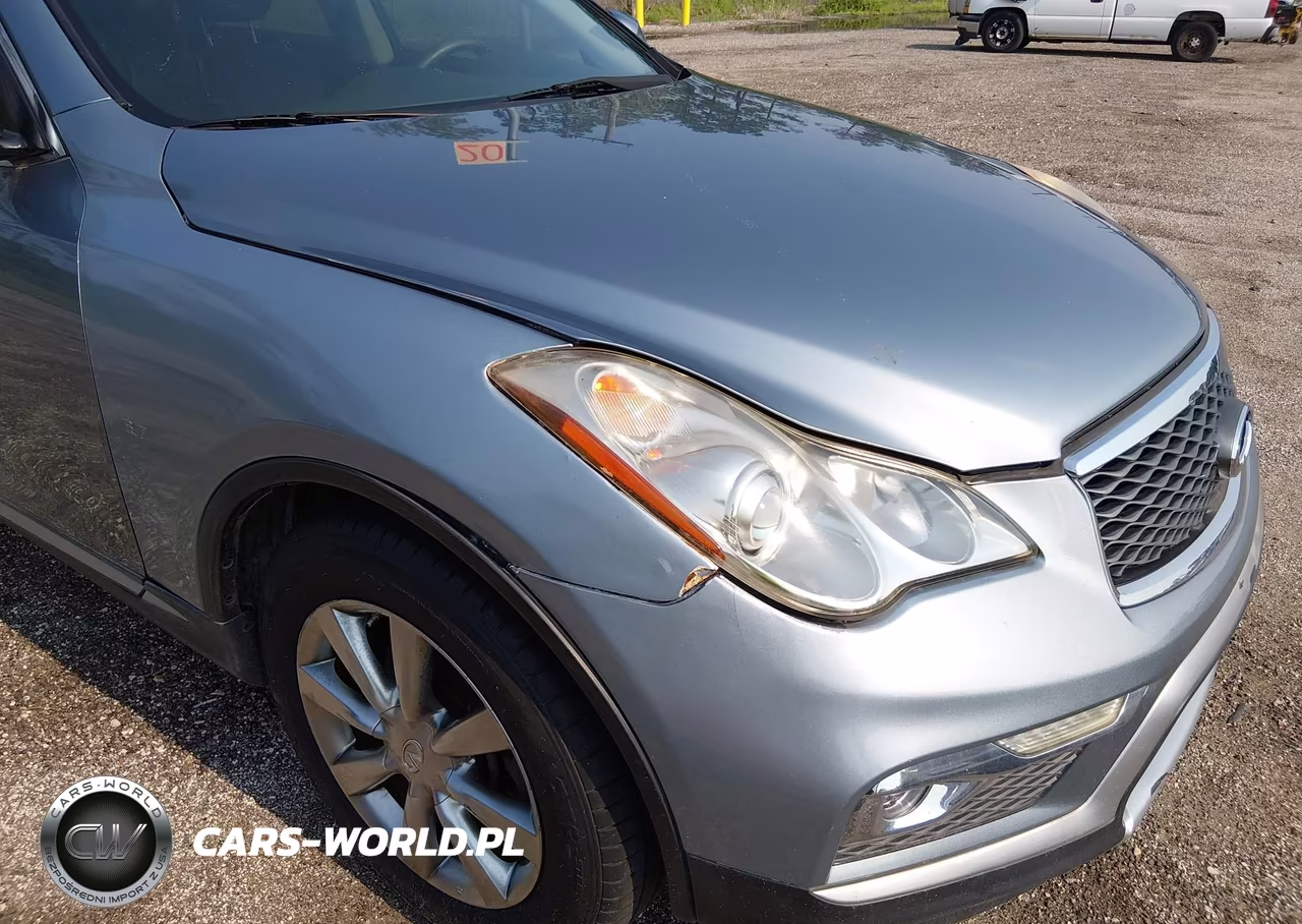 2017 Infiniti Qx50 VIN:JN1BJ0RP5HM384788 - 6