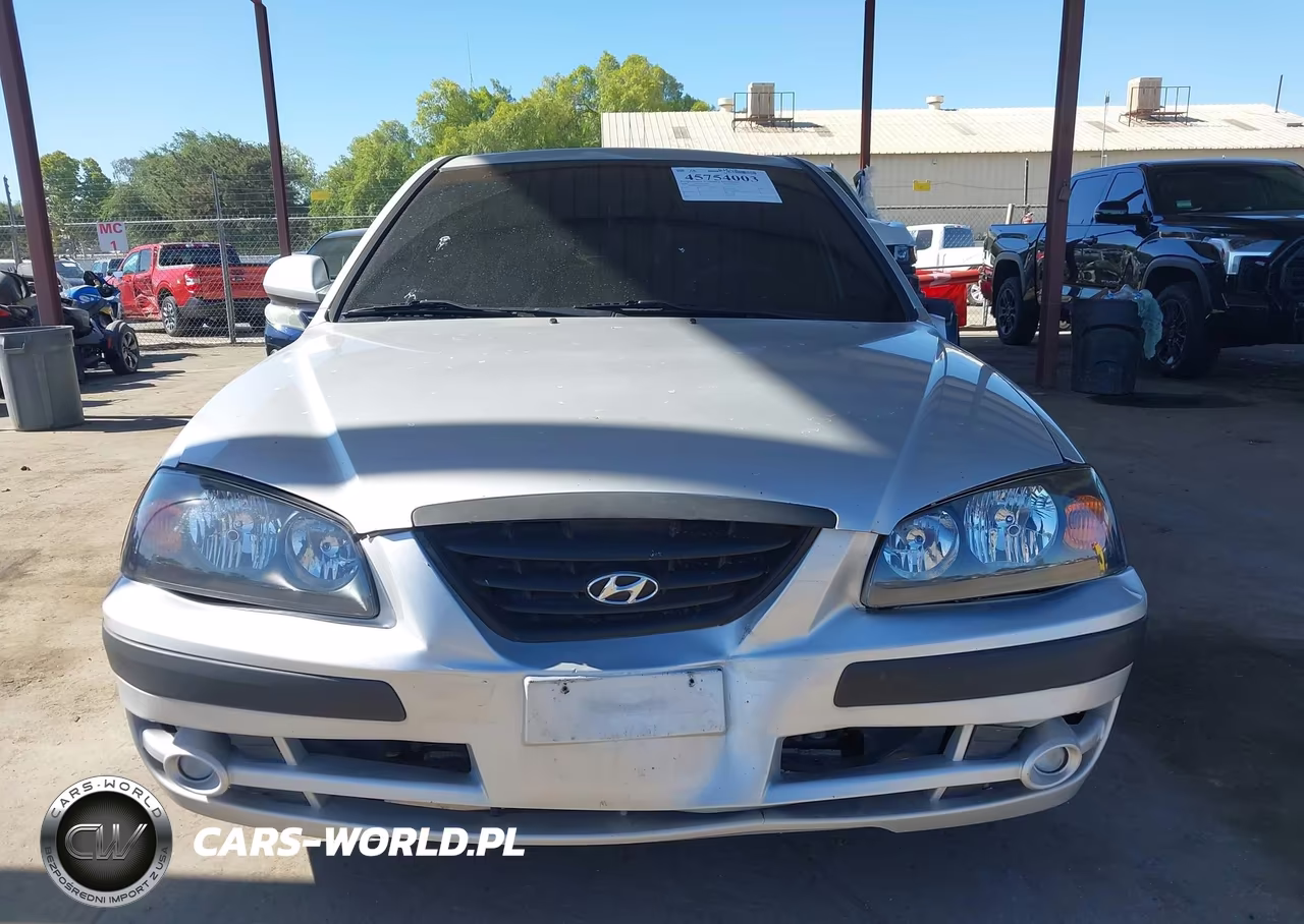 2004 Hyundai Elantra Gls-Gt VIN:KMHDN46D54U838099 - 12
