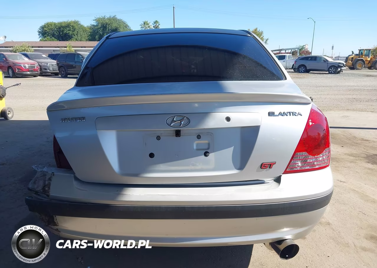 2004 Hyundai Elantra Gls-Gt VIN:KMHDN46D54U838099 - 16