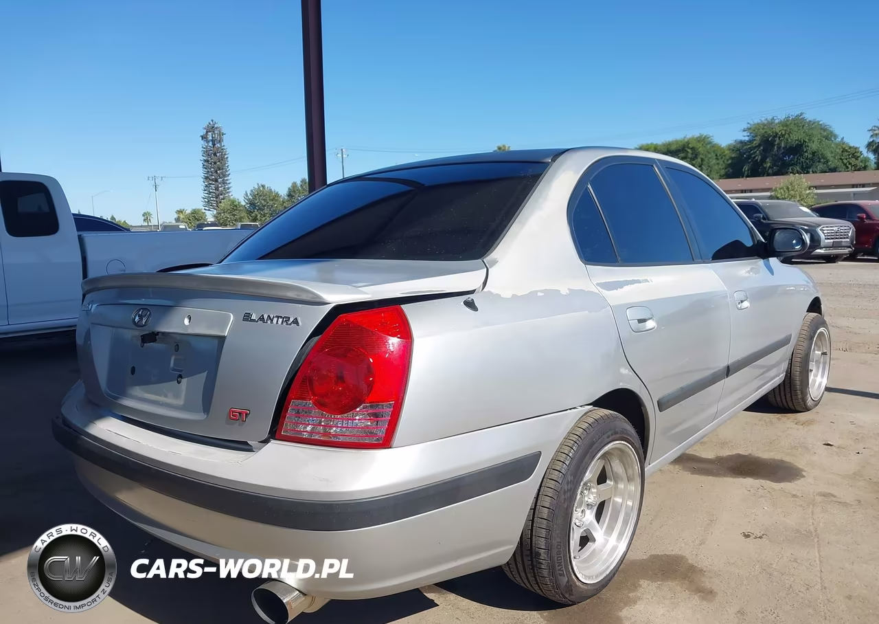 2004 Hyundai Elantra Gls-Gt VIN:KMHDN46D54U838099 - 4