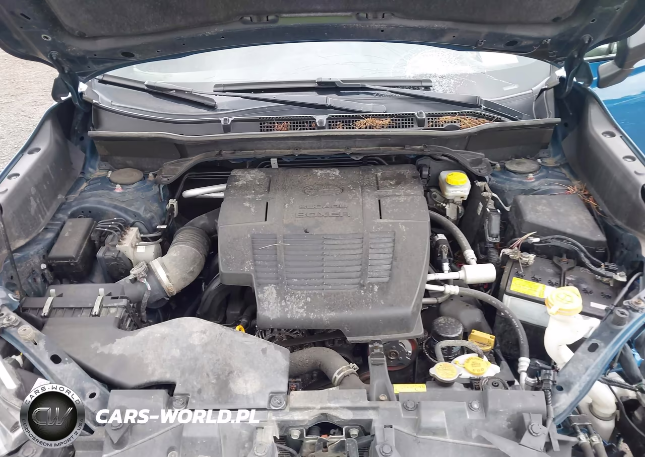 2022 Subaru Forester Wilderness VIN:JF2SKAMC4NH492099 - 10